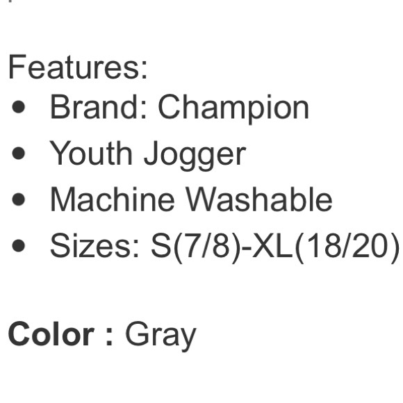 Champion Youth Jogger, Gray, size: L (14-16) - Picture 5 of 6